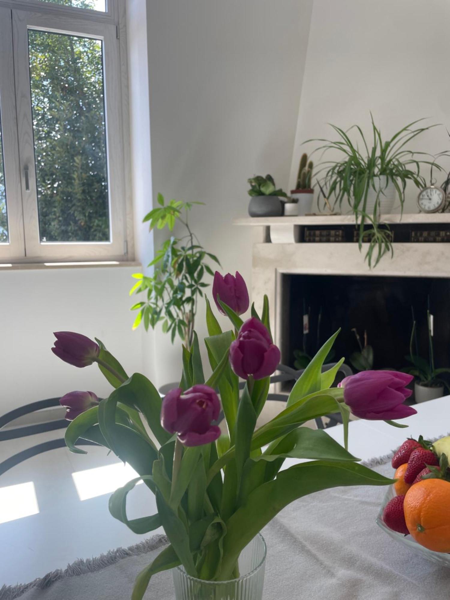 Apartamento La Casa De Lu Barone San Demetrio ne' Vestini Exterior foto
